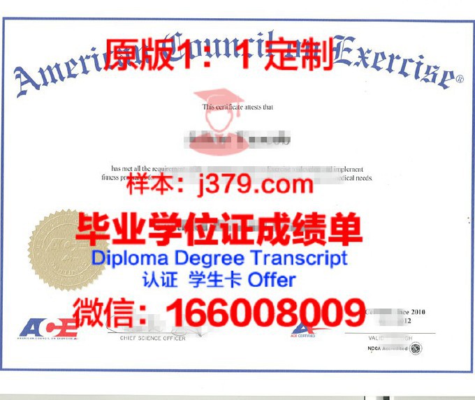 庞培法布拉大学本科毕业证(庞贝发布拉大学官网)