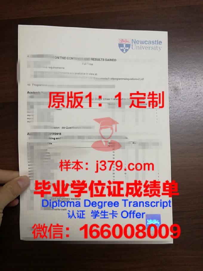 耶拿应用技术大学成绩单(上海应用技术大学成绩单)