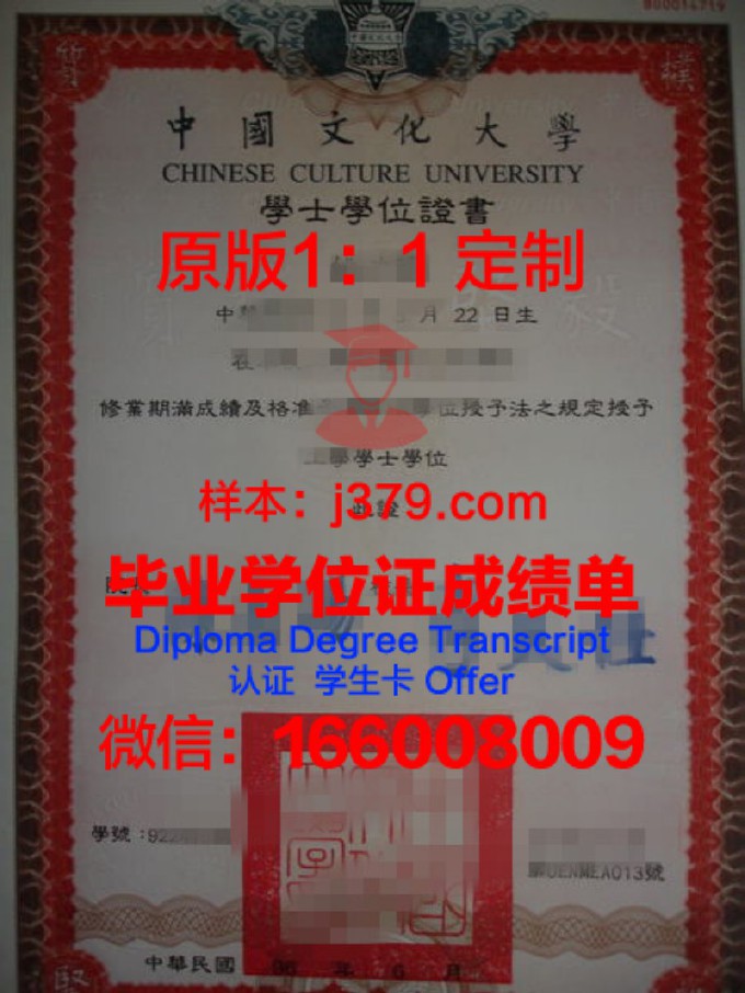 喀山联邦大学的本科毕业证中国承认吗(喀山联邦大学中国承认学历吗)