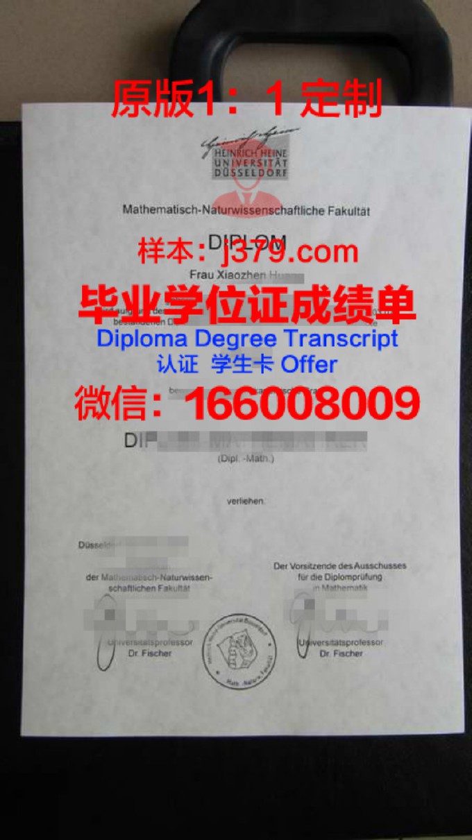 国家公派德国签证毕业证(德国留学公证件英文还是德文)