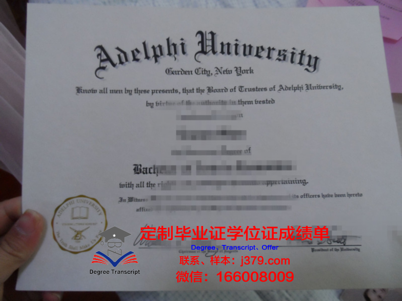 阿德菲大学毕业学位