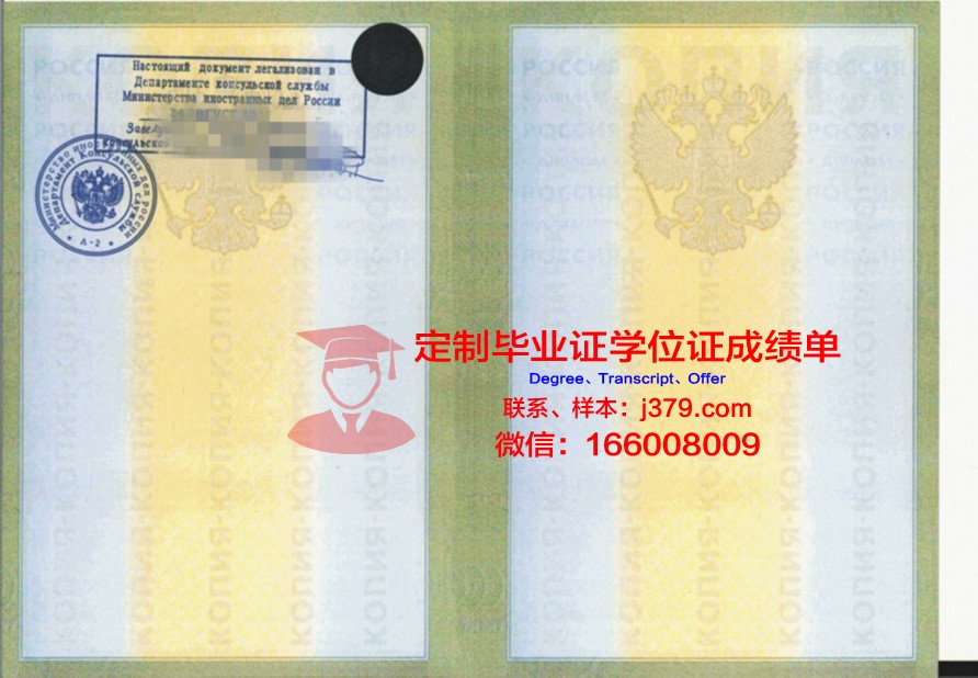 莫斯科国立经济统计与信息大学毕业证原件