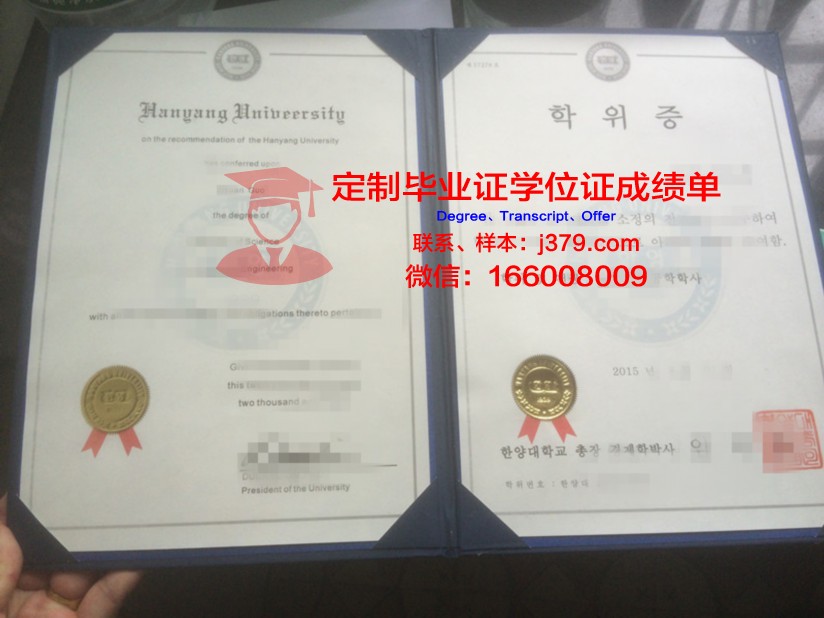 莫斯科国立经济统计与信息大学学位证书