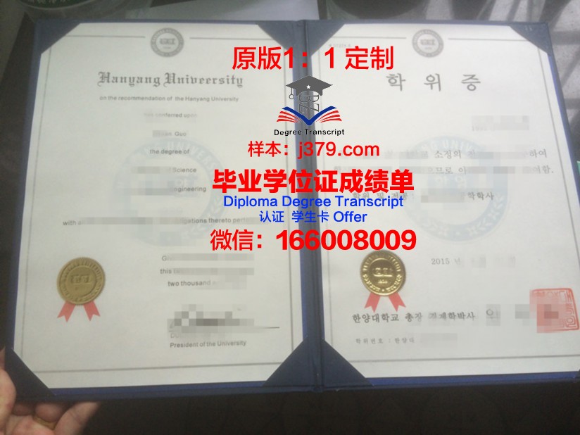 莫斯科国立经济统计与信息大学毕业证学位证
