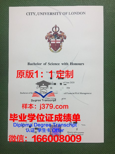 阿根廷奥斯特拉尔大学毕业证外壳