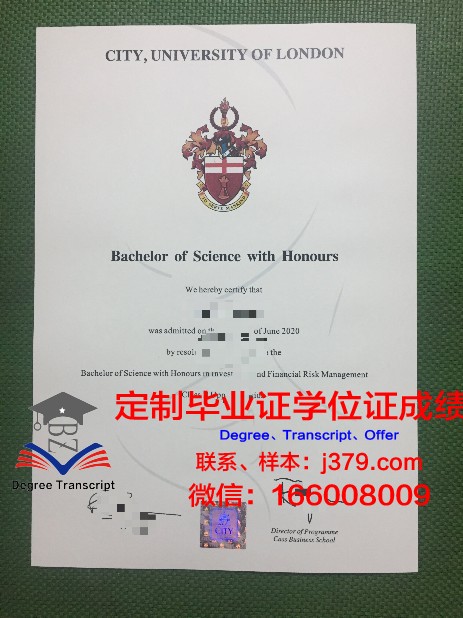 阿罗修斯山学院文凭(阿洛伊修斯学院寄宿中学)