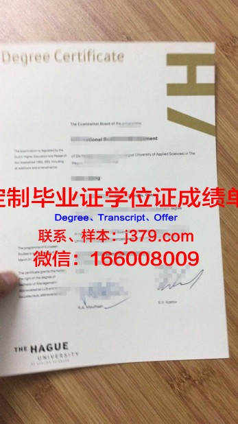 荷兰萨克逊大学毕业证diploma