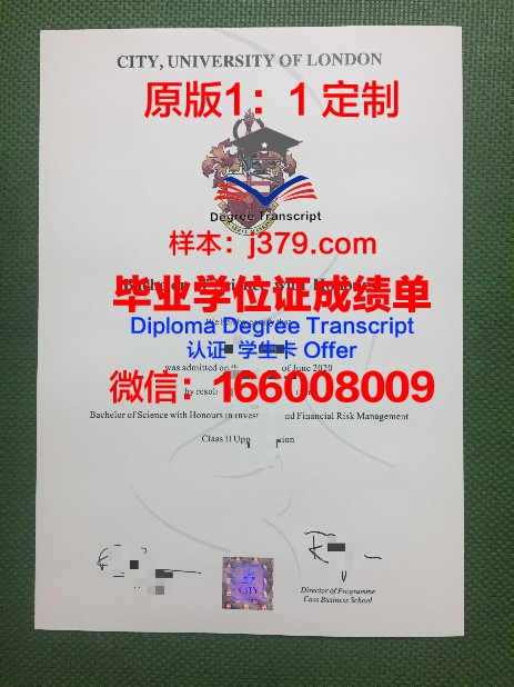 莫吉廖夫国立大学毕业证成绩单：一份承载荣誉与梦想的证明