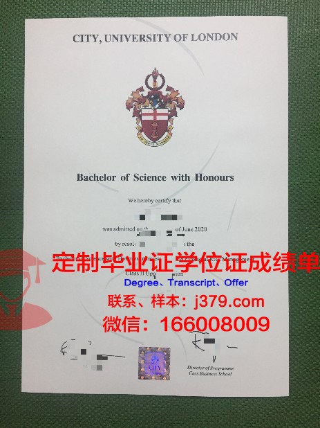 阿沙芬堡应用技术大学本科毕业证