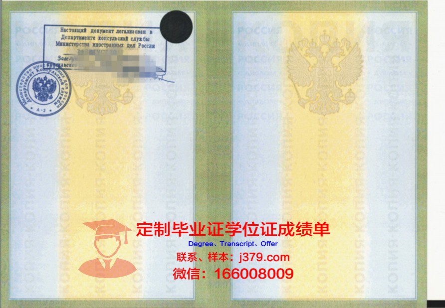 莫斯科国际学院成绩单(莫斯科国际学院成绩单图片)