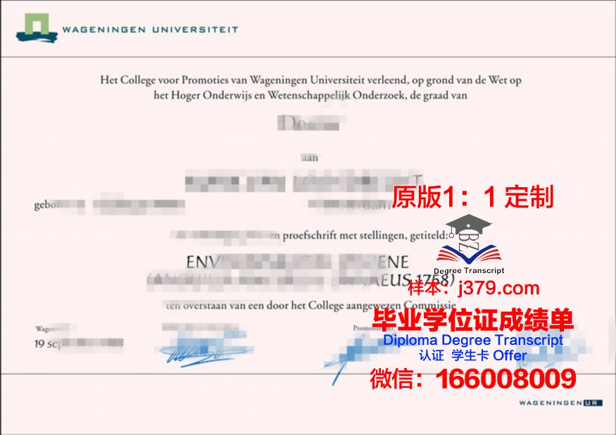 荷兰海事大学毕业证图片