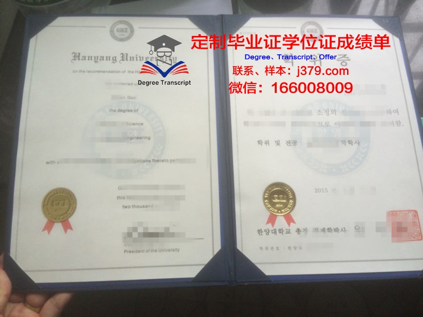 阿米科本科学位证：探索国际化教育的新里程碑