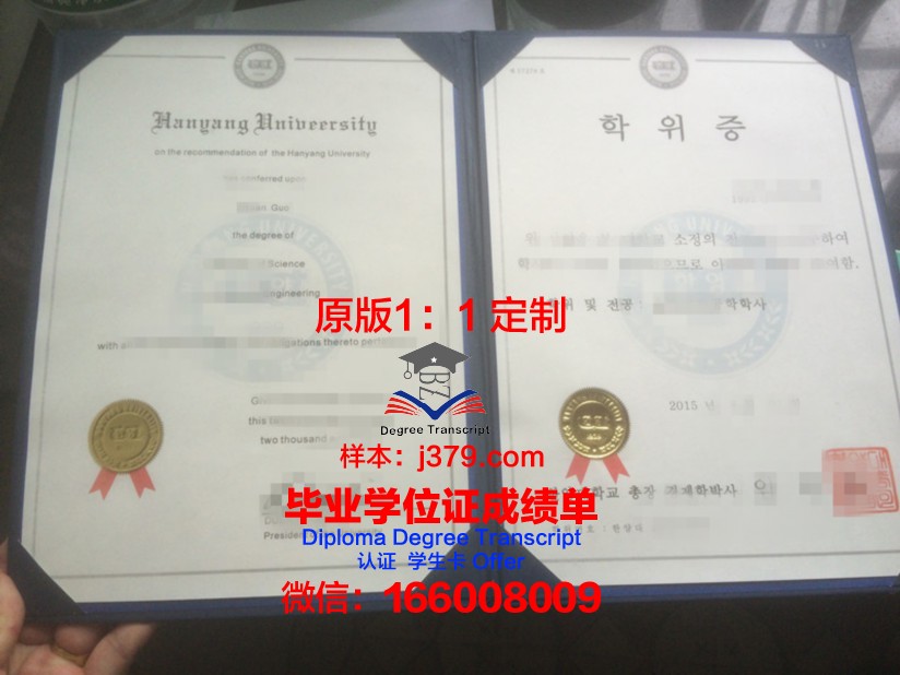 阿拉木图能源学院学位证成绩单：一份充满荣誉与努力的证明