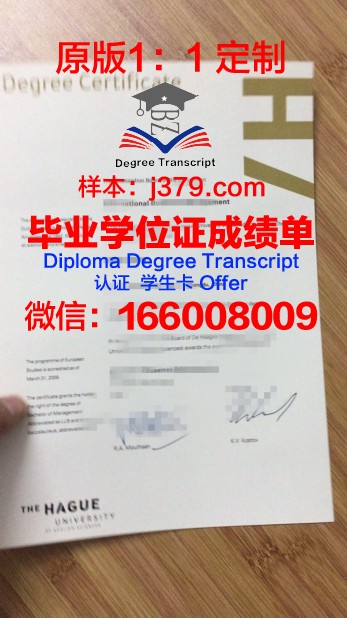 荷兰学院毕业文凭