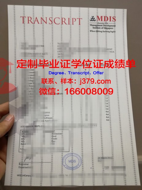 阿联成绩单：金融与体育的双重辉煌