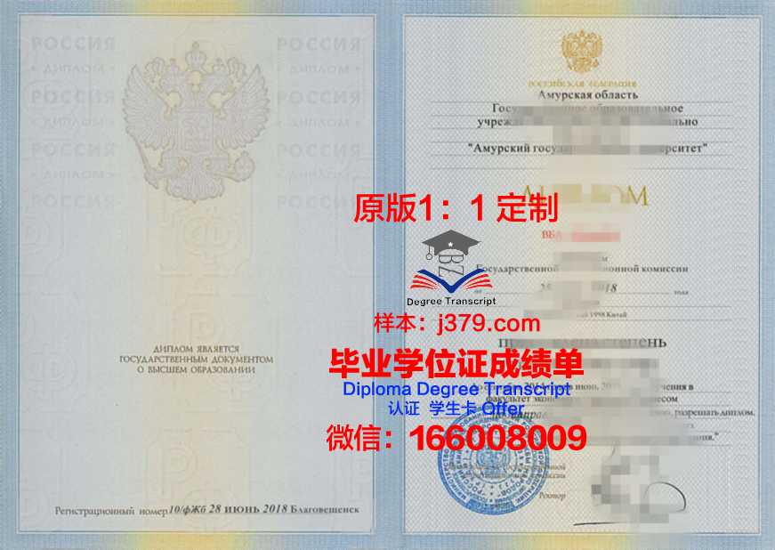 阿穆尔国立大学毕业证图片(阿穆尔国立医学院)