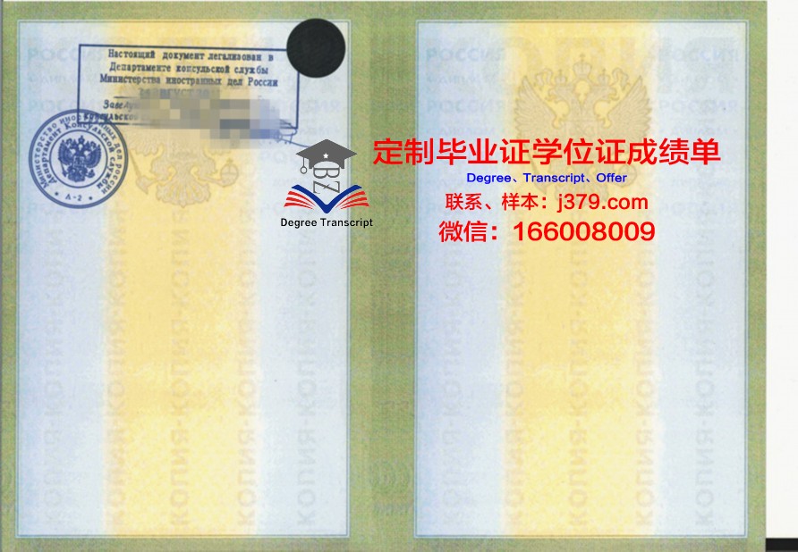 莫斯科国立经济、统计与信息大学成绩单：一份国际认可的学术证明