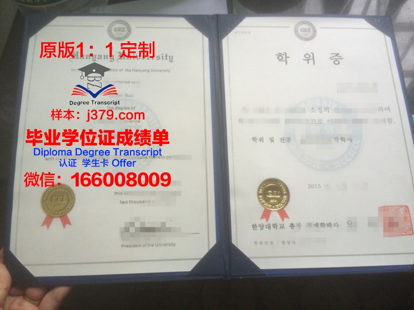 莫斯科国际关系学院学位证：开启国际舞台的钥匙