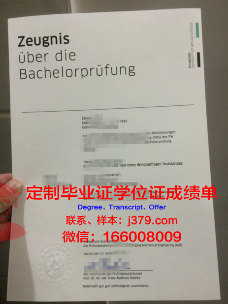 阿沙芬堡应用技术大学毕业证是什么样子(阿沙芬堡在德国几线城市)