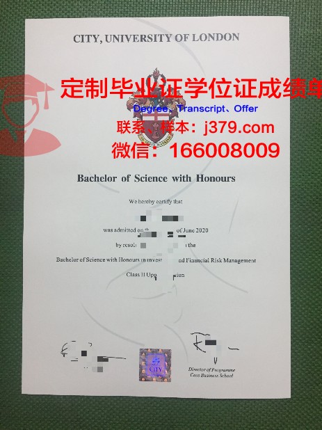 阿纳姆、恩斯赫德与兹沃勒艺术大学博士毕业证的独特魅力