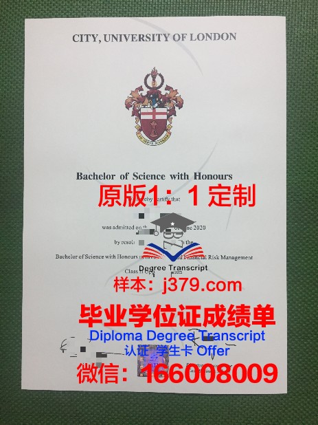阿罗修斯山学院毕业证图片