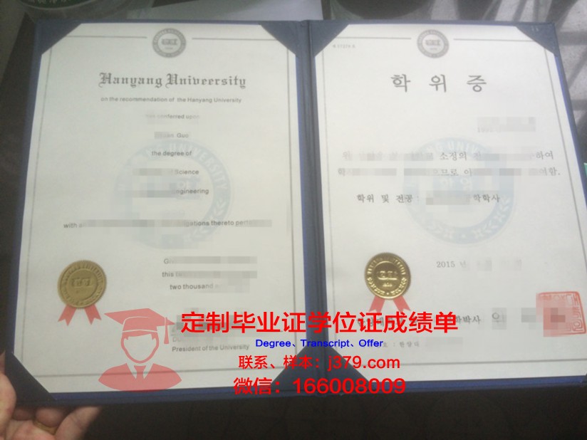 茨城大学硕士学位证：一张通往学术高峰的通行证
