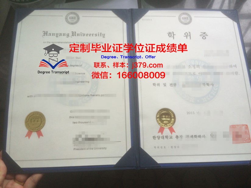 阿德尔菲大学本科学位证：开启全球职业舞台的钥匙