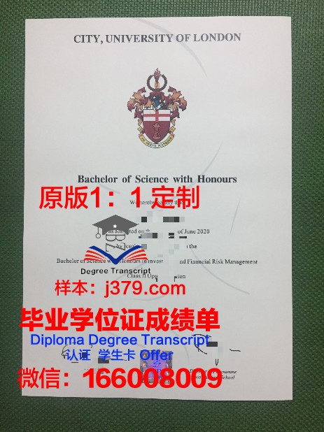 的里雅斯特国际高等研究院毕业证成绩单：一份跨越国界的学术荣誉