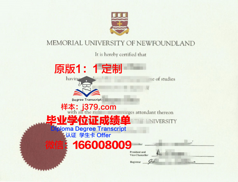 阿联酋大学毕业证书图片高清(阿联酋大学毕业后谁帮他们找工作)