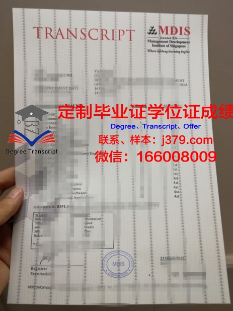 阿联酋大学成绩单(阿联酋名校)