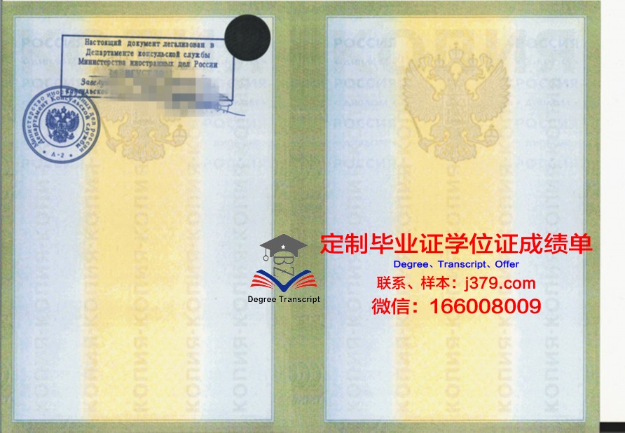 莫斯科国际关系学院毕业文凭