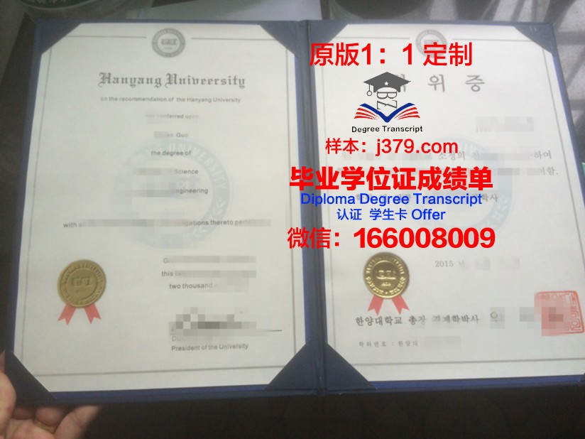 阿拉伯美国大学硕士学位证：跨文化教育的璀璨成果
