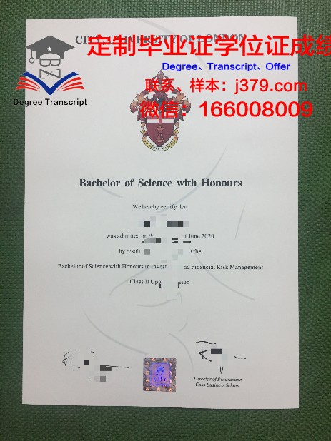 阿拉哈巴德大学毕业证外壳