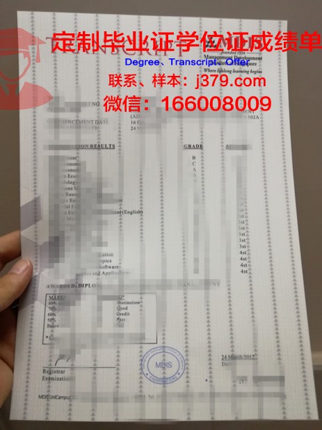 阿沙芬堡应用技术大学成绩单