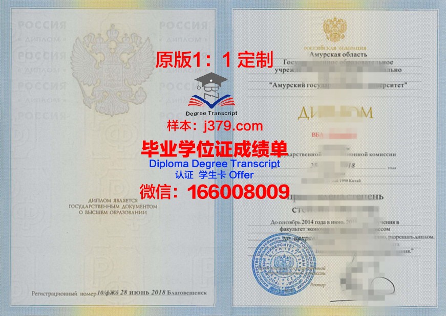 阿穆尔国立医学院成绩单(阿穆尔大学)