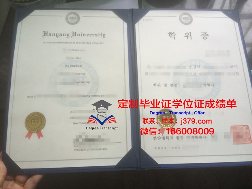 阿提拉·约瑟夫大学学位证成绩单：揭开一位文学巨匠的学术足迹