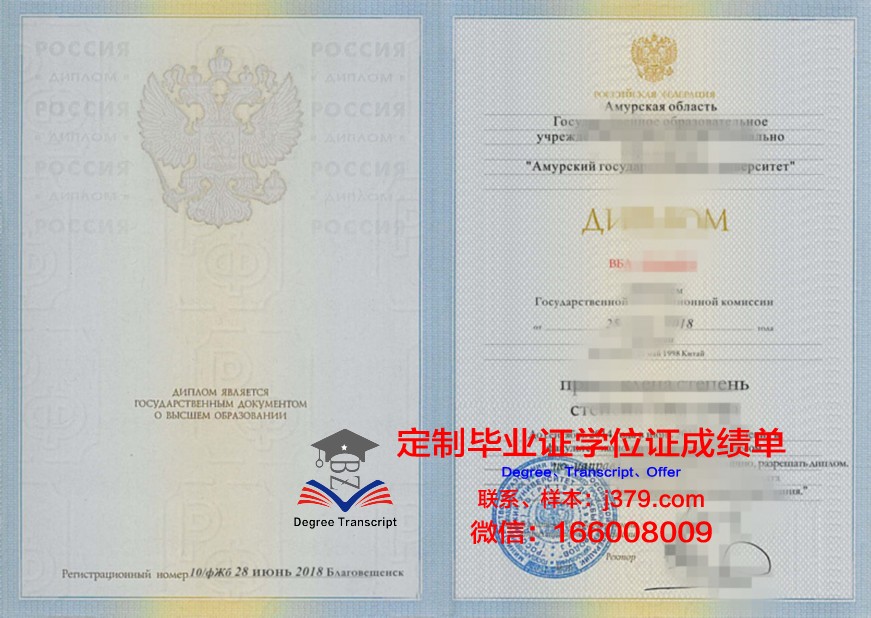 阿穆尔国立大学毕业证成绩单：承载荣誉与梦想的纸笔见证
