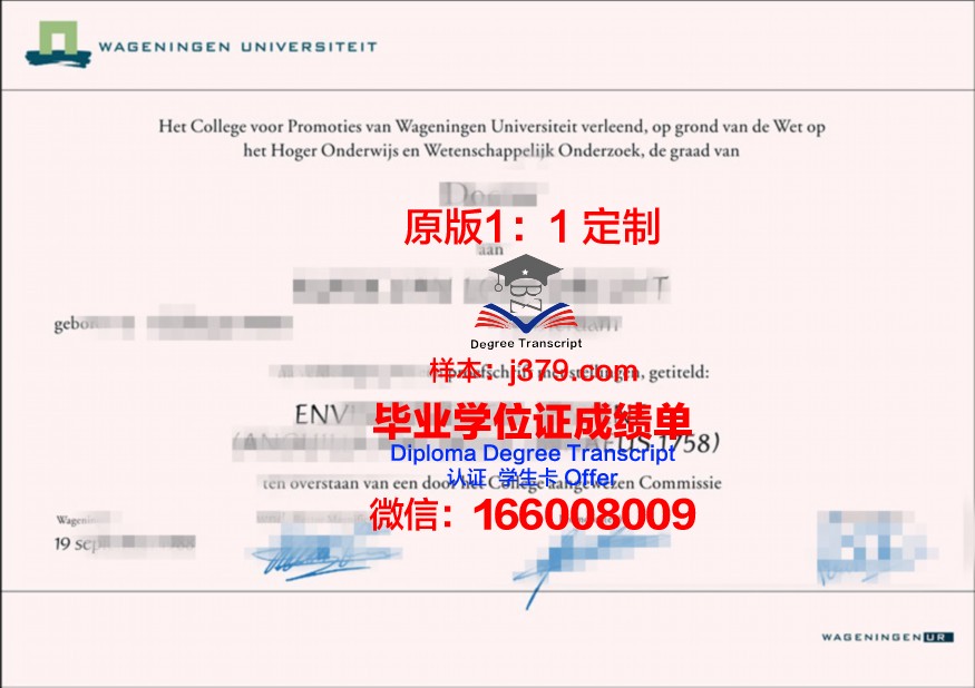 荷兰萨克逊大学毕业证diploma