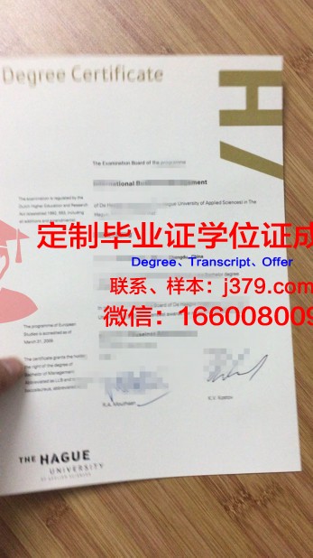 荷兰海事大学毕业证图片