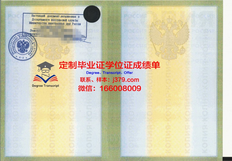 莫斯科国立经济统计与信息大学毕业证电子版