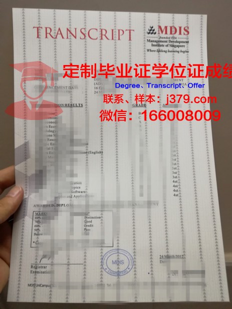 阿涅斯斯科特学院成绩单：探索教育评价的多元化与深度