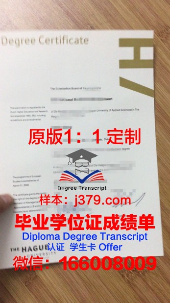 荷兰艾文思应用科学大学毕业证学位文凭学历Diploma