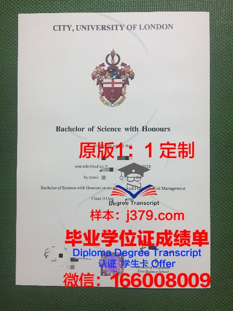 阿拉木图能源学院毕业证