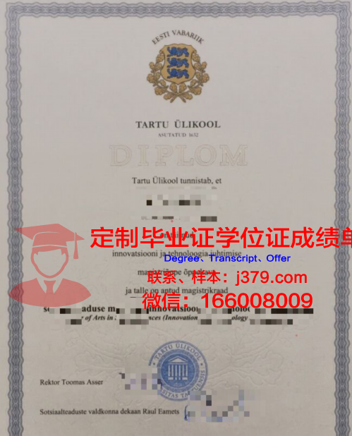 图尔大学综合理工学院博士毕业证书(塔尔图大学博士申请)