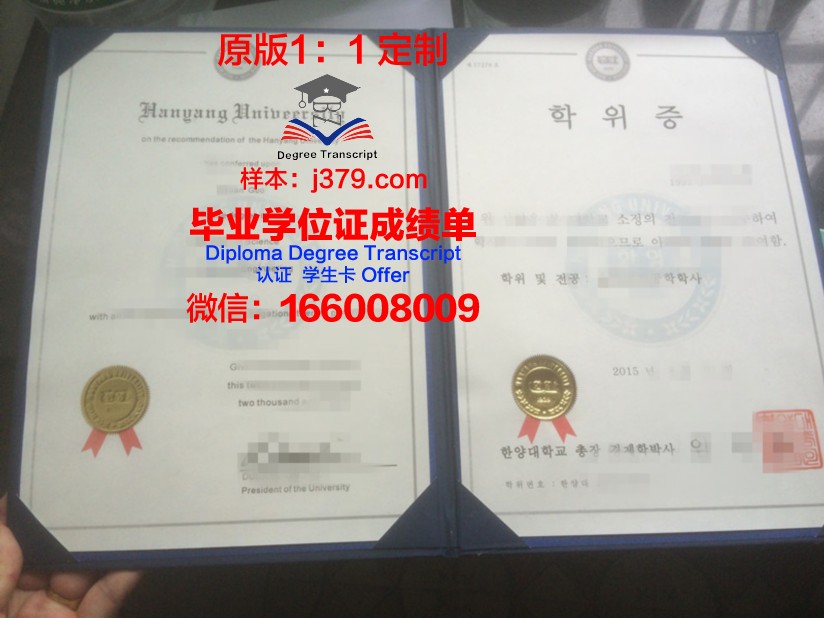 荷大博士学位证：一份跨越国度的荣誉证书