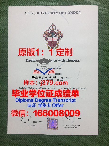白俄罗斯国立理工大学毕业证成绩单：学术成就的见证