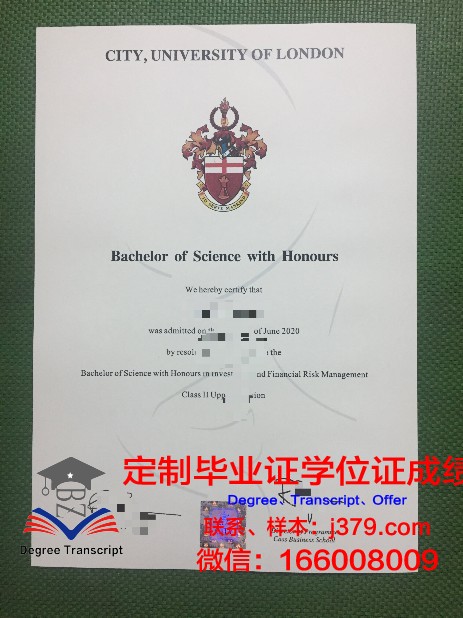 荷大校毕业证成绩单：一份承载青春记忆的证书