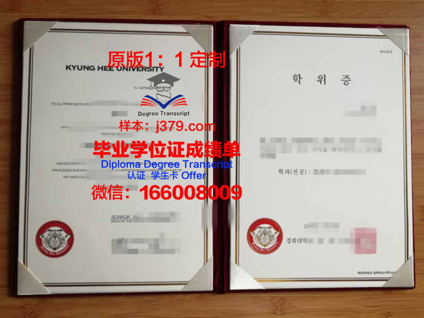 阿维尼翁大学diploma证书