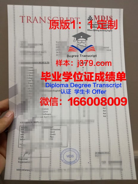 阿希尔亚女神大学成绩单